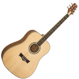 Peavey DW-1 akustična gitara
