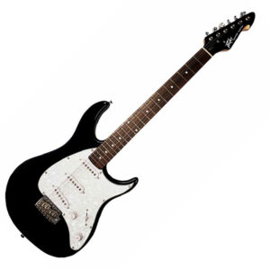 Peavey Raptor Custom Black električna gitara