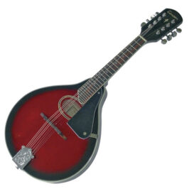 Tenson A-1 Oval mandolina