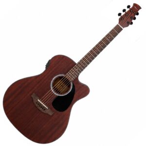 Applause AEO96-M Orchestra Model Electro