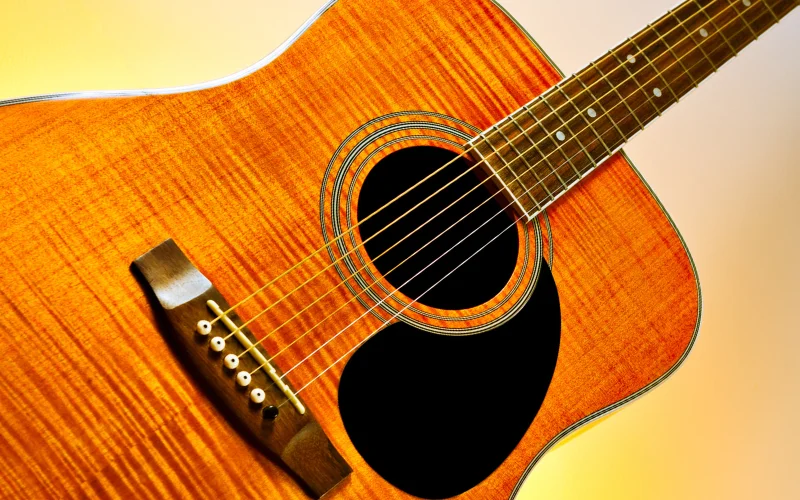 Izgled akustične gitare - MMC web shop Izgled akustične gitare - MMC web shop