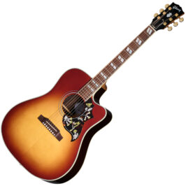 Hummingbird Standard Rosewood EC Rosewood Burst 1