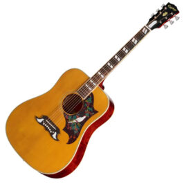 Epiphone 1963 Dove Reissue Natural