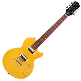 Epiphone Slash AFD 1 Epiphone Slash AFD 1