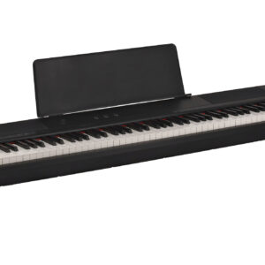 GEWA PP-2 električni klavir